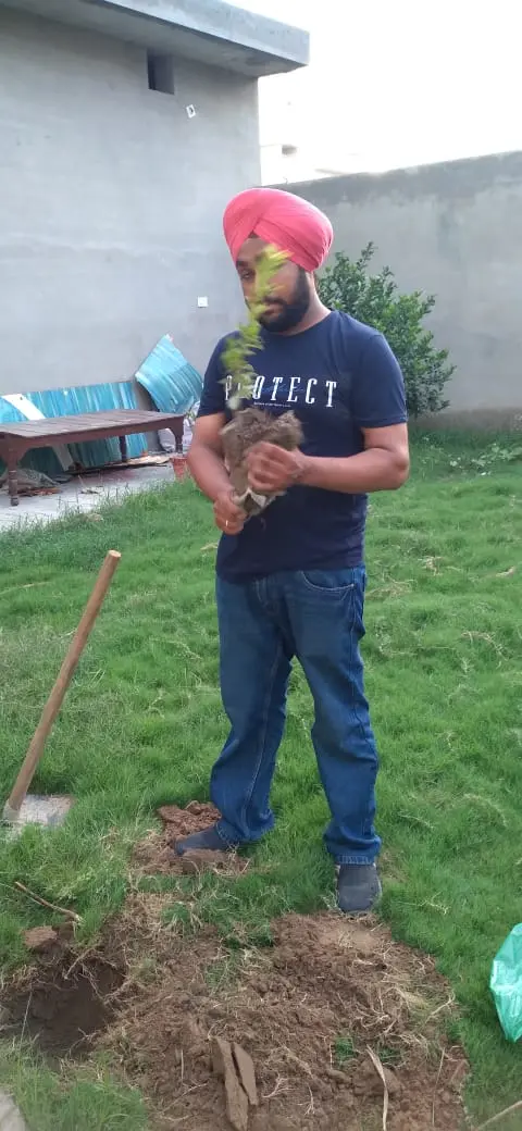 Tree Plantation 2021 – Punjab