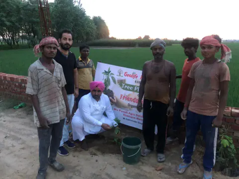 Tree Plantation 2021 – Punjab