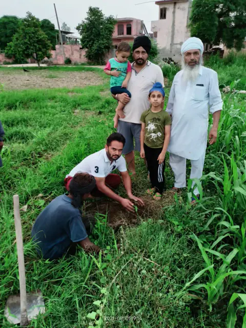 Tree Plantation 2021 – Punjab