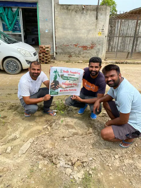 Tree Plantation 2021 – Punjab