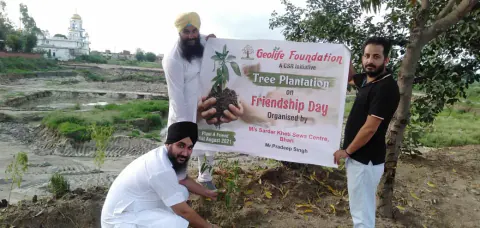 Tree Plantation 2021 – Punjab