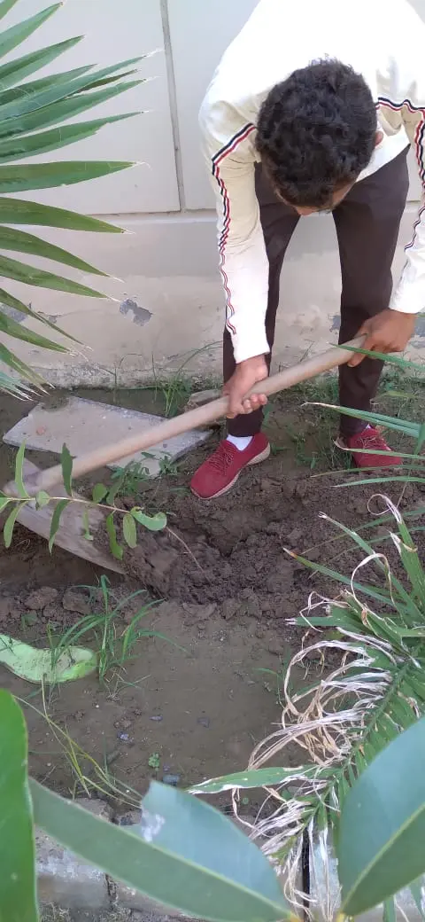 Tree Plantation 2021 – Punjab