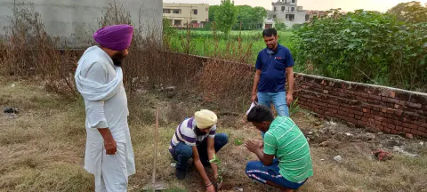 Tree Plantation 2021 – Punjab