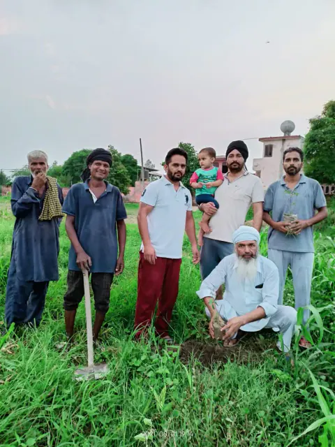Tree Plantation 2021 – Punjab
