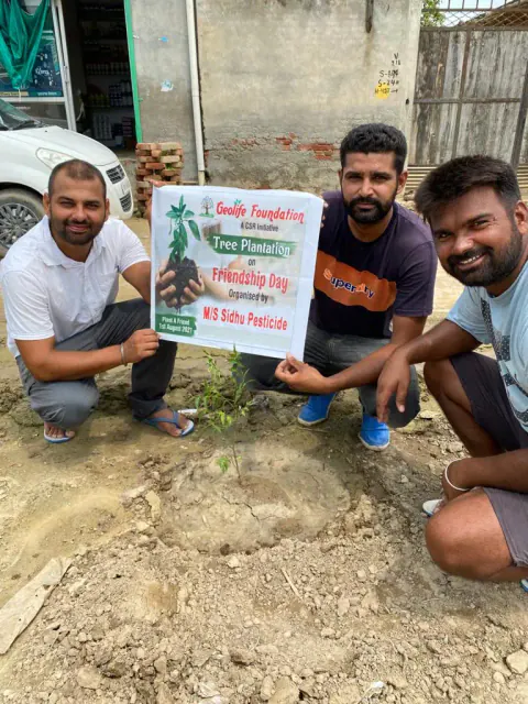 Tree Plantation 2021 – Punjab