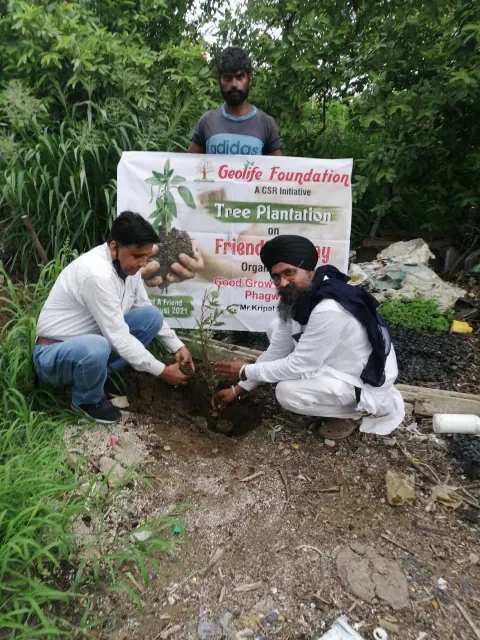 Tree Plantation 2021 – Punjab