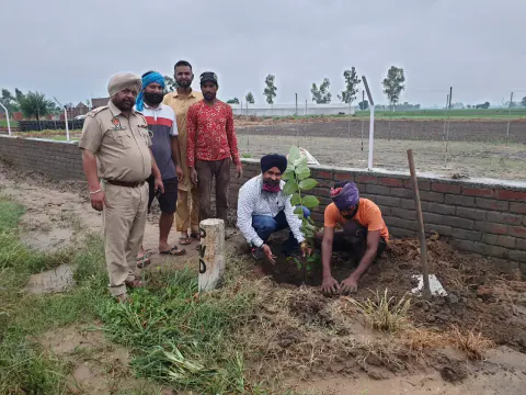 Tree Plantation 2021 – Punjab