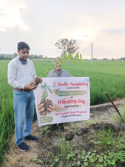 Tree Plantation 2021 – Punjab