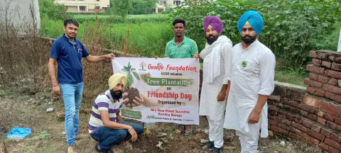 Tree Plantation 2021 – Punjab