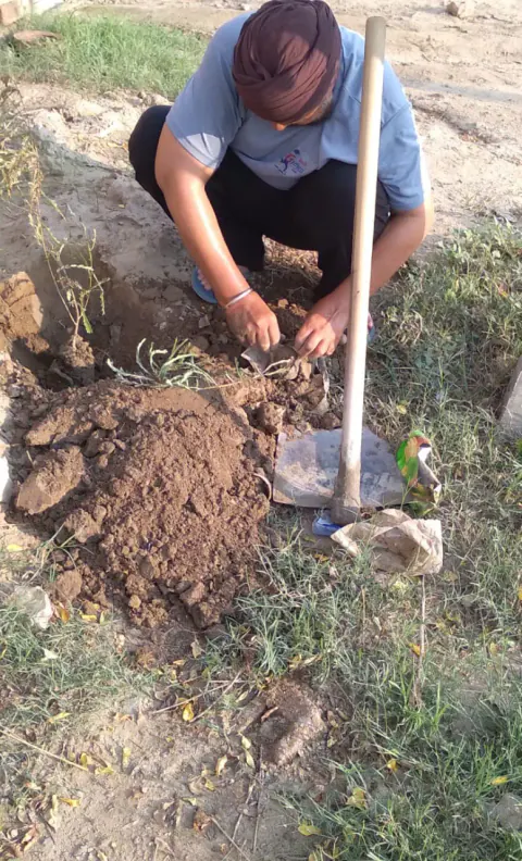 Tree Plantation 2021 – Punjab