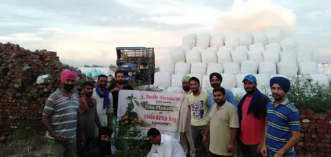 Tree Plantation 2021 – Punjab