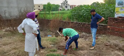 Tree Plantation 2021 – Punjab