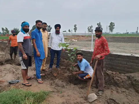 Tree Plantation 2021 – Punjab