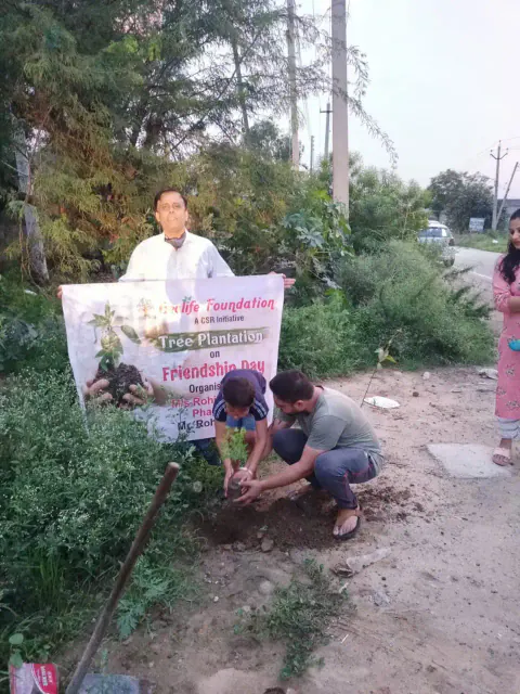 Tree Plantation 2021 – Punjab