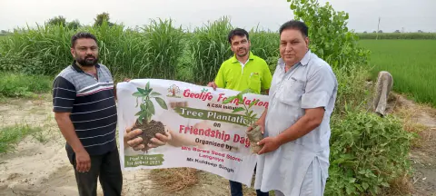 Tree Plantation 2021 – Punjab