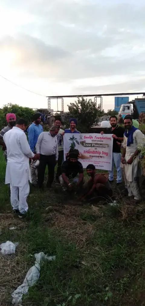 Tree Plantation 2021 – Punjab