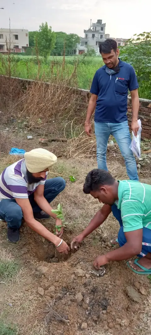 Tree Plantation 2021 – Punjab