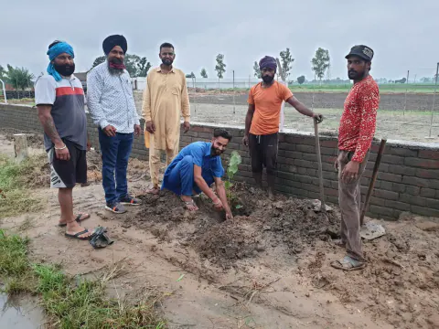 Tree Plantation 2021 – Punjab