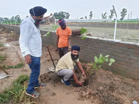 Tree Plantation 2021 – Punjab
