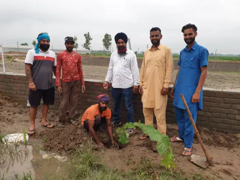 Tree Plantation 2021 – Punjab