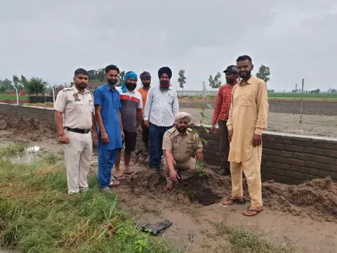Tree Plantation 2021 – Punjab