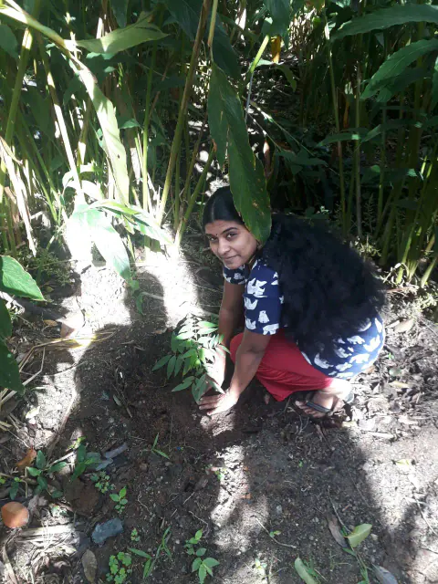 Tree Plantation 2021 – Trichy
