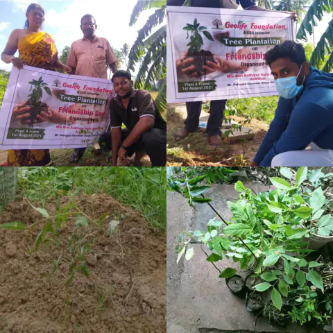 Tree Plantation 2021 – Trichy