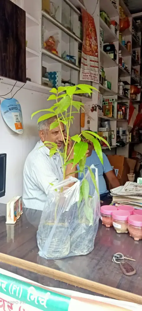 Tree Plantation 2021 – Uttar Pradesh