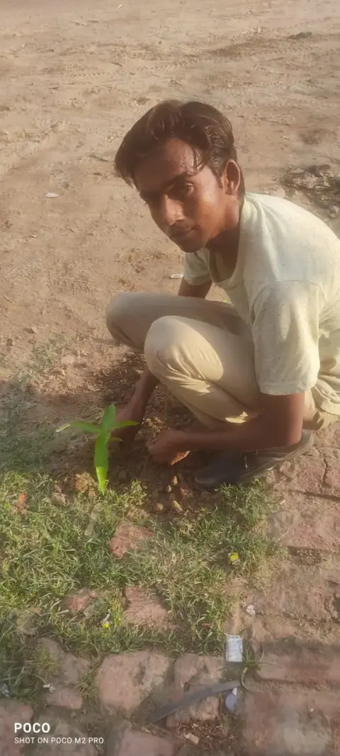Tree Plantation 2021 – Uttar Pradesh