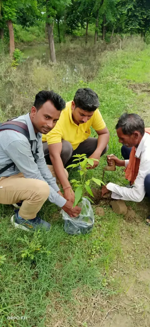 Tree Plantation 2021 – Uttar Pradesh