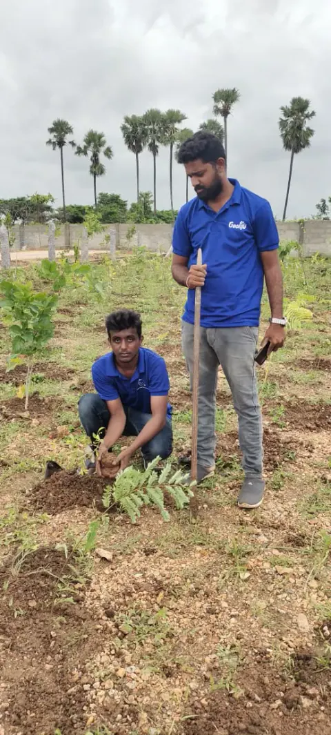 Tree Plantation 2022 – Andhra Pradesh & Telangana