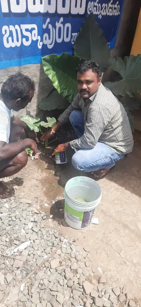 Tree Plantation 2022 – Andhra Pradesh & Telangana