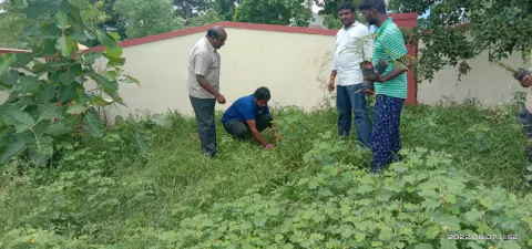 Tree Plantation 2022 – Andhra Pradesh & Telangana
