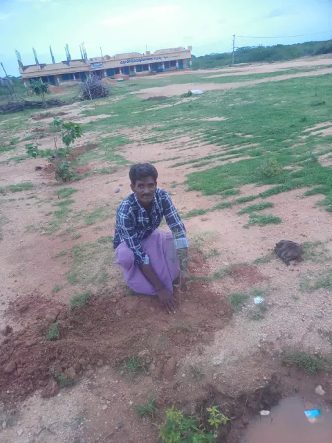 Tree Plantation 2022 – Andhra Pradesh & Telangana