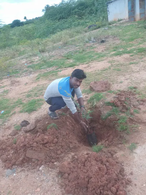 Tree Plantation 2022 – Andhra Pradesh & Telangana