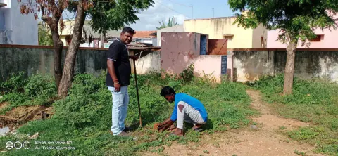 Tree Plantation 2022 – Bhatinda