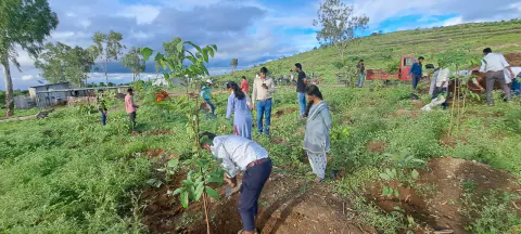 Tree Plantation 2022 – Pune – Factory