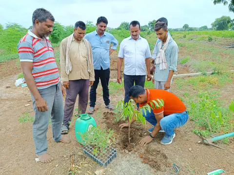 Tree Plantation 2022 – Pune – Factory