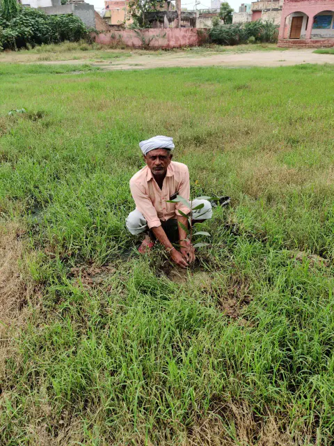 Tree Plantation 2022 – Karnal