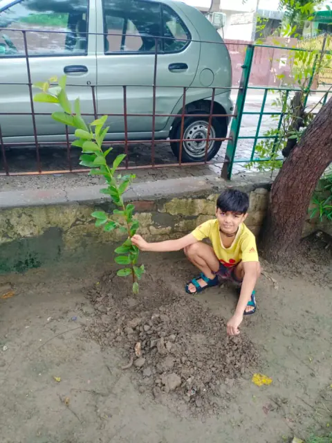 Tree Plantation 2022 – Karnal