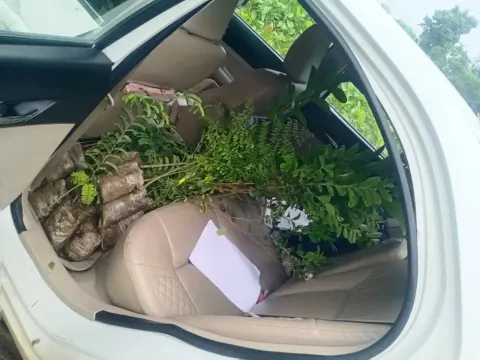 Tree Plantation 2022 – Karnal