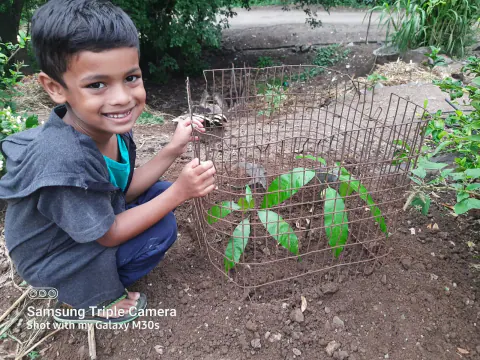 Tree Plantation 2022 – Mumbai – Head Office