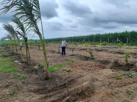 Tree Plantation 2022 – Mumbai – Head Office