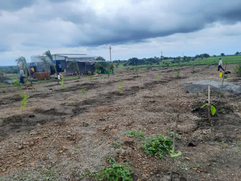 Tree Plantation 2022 – Mumbai – Head Office