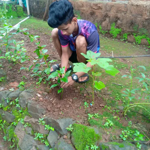 Tree Plantation 2022 – Mumbai – Head Office