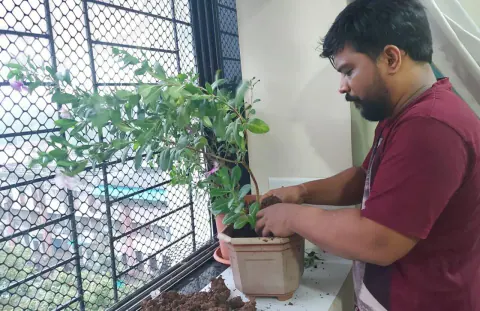 Tree Plantation 2022 – Mumbai – Head Office