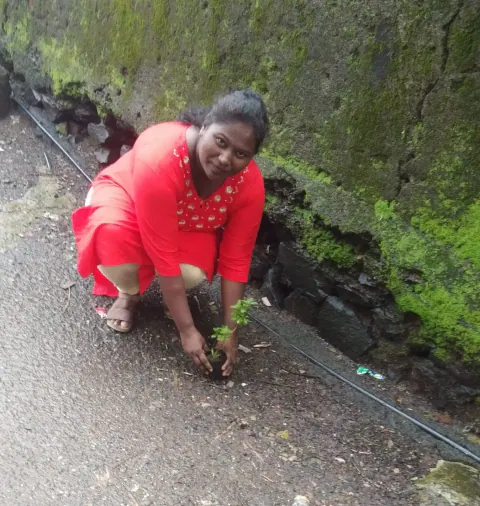 Tree Plantation 2022 – Mumbai – Head Office