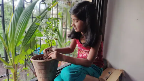 Tree Plantation 2022 – Mumbai – Head Office