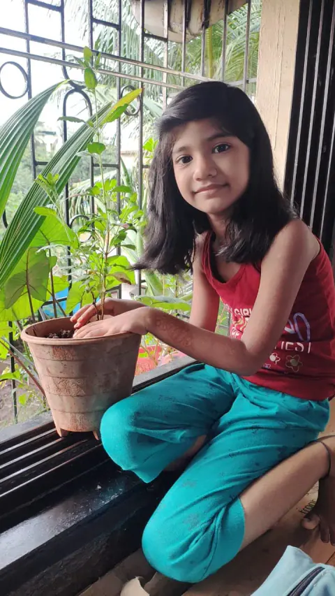 Tree Plantation 2022 – Mumbai – Head Office