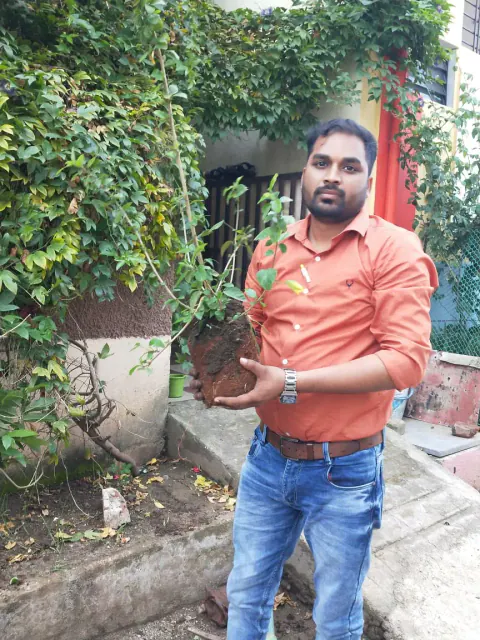 Tree Plantation 2022 – Mumbai – Head Office